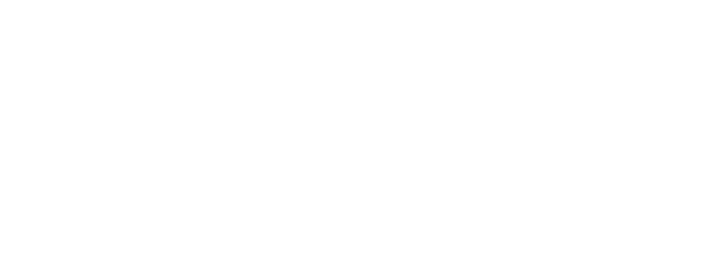 Petsaal Tech logo